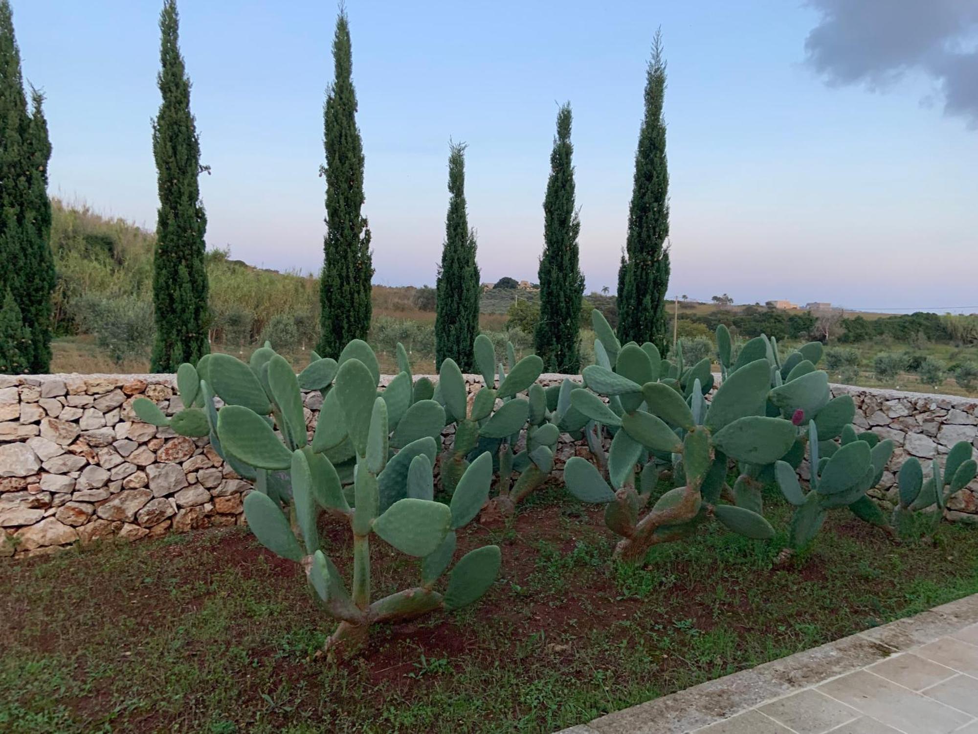 Relais Masseria Sant'Antonio Marina Di Pescoluse Eksteriør bilde